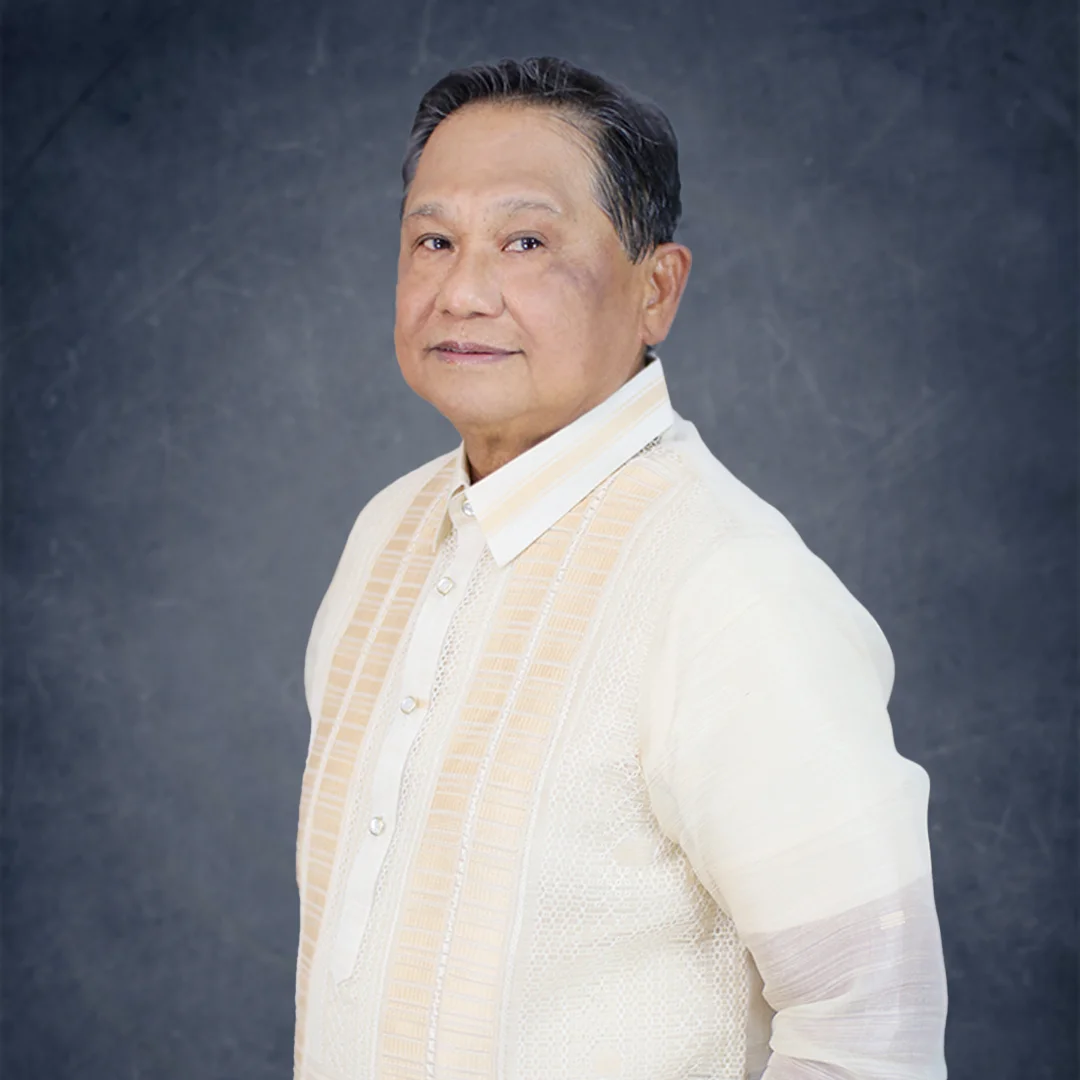 Chairman - Roberto P. Alingog